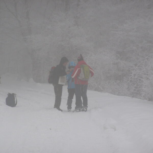 Tanakodás_Orion TTE