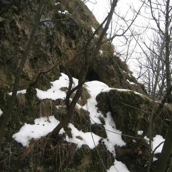 Budai-hg. 2010.01.09.